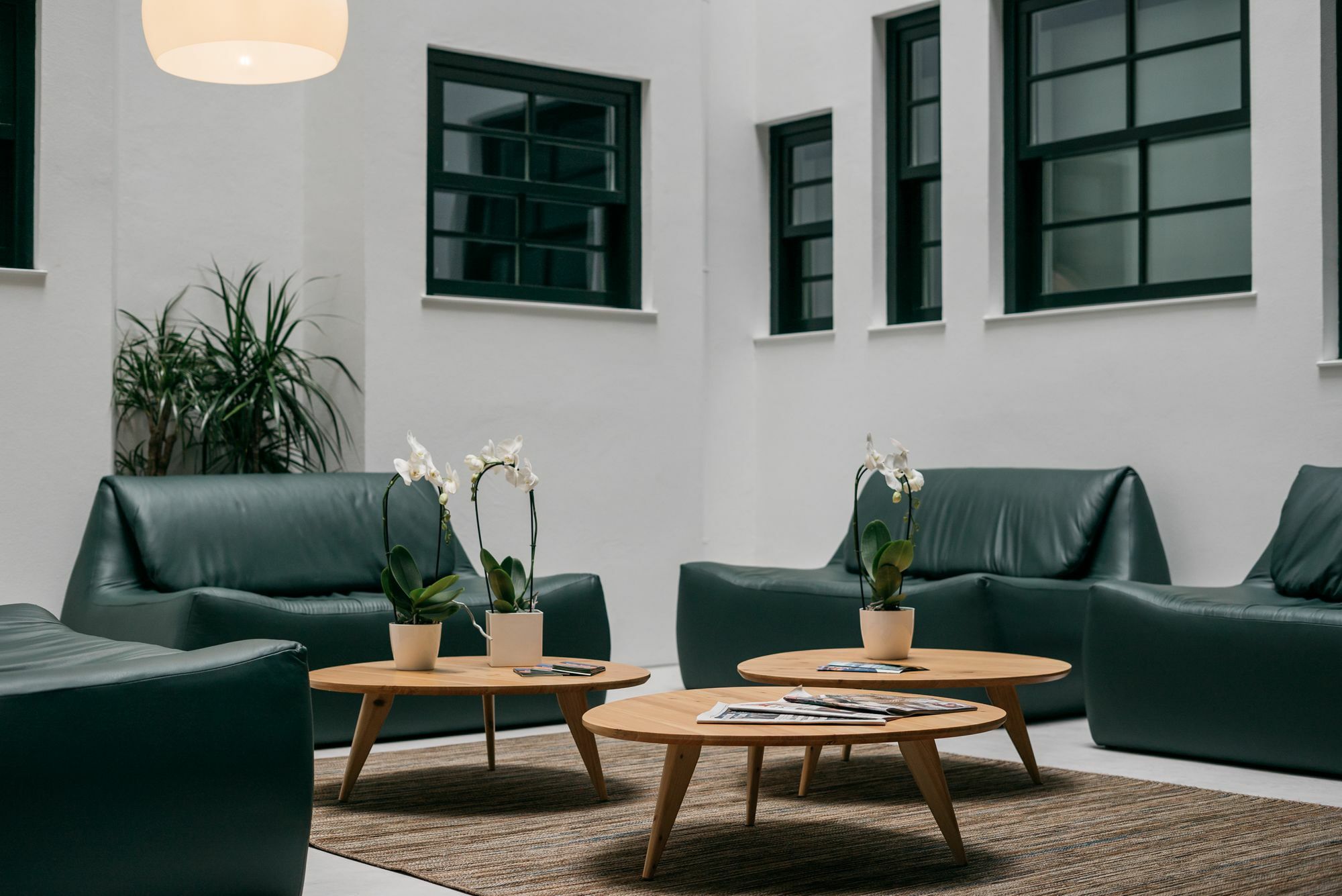 D'Autor Apartments Sa Da Bandeira Porto Dış mekan fotoğraf